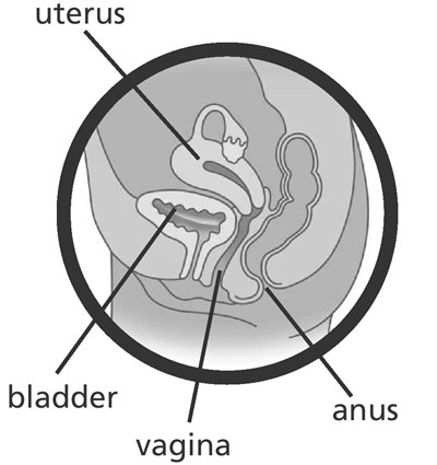 Image Of Figure 2 (Figure 2)